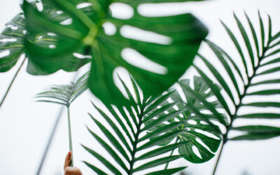 A Palm Sunday Sending